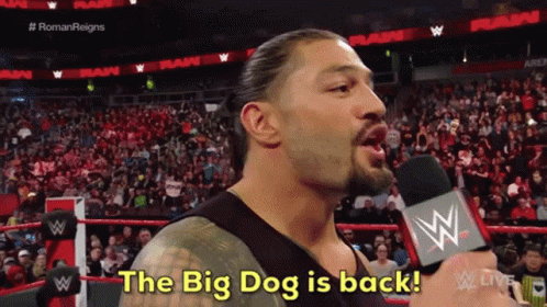 Hes Back The Big Dog Roman Reigns GIF
