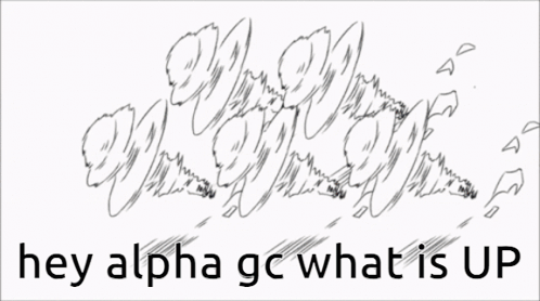Hey Alpha GC What Is Up GIF