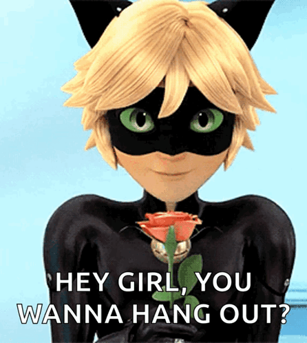 Hey Girl Miraculous Cat Noir GIF