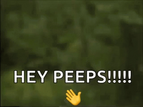 Hey Peeps Hi People GIF