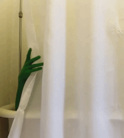 Hey Shrek Shower Time GIF