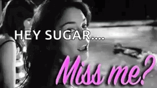 Hey Sugar Missed Me GIF