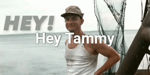 Hey Tammy Forrest Gump Waving GIF