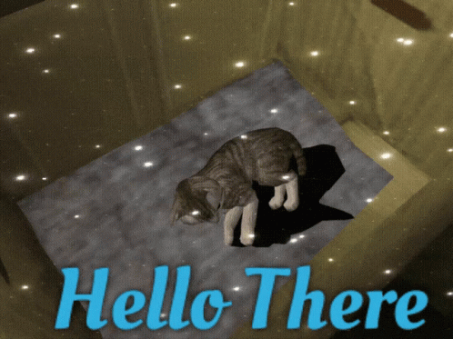 Hey There Cat In A Box GIF