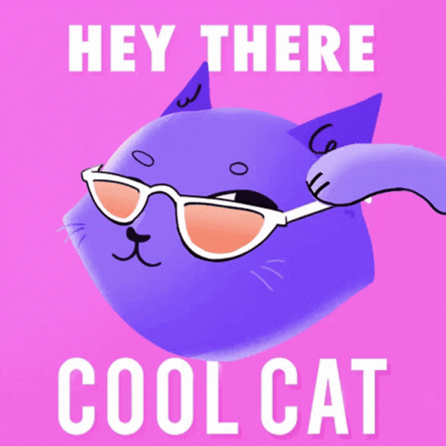 Hey There Cool Cat GIF