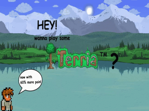 Hey Wanna Play Some Terraria GIF