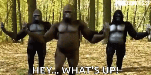 Hey What's Up Gorilla Dancing GIF