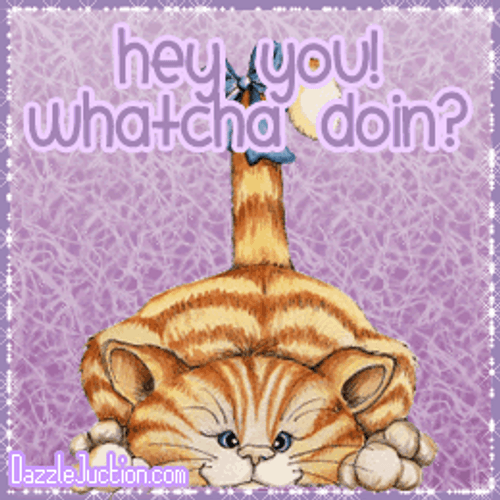 Hey You Whatcha Doin Cat Cartoon GIF