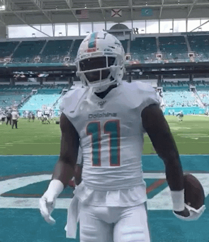 Hi Miami Dolphins Fans GIF