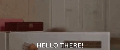 Hi There Mrs Doubtfire Robin Williams GIF