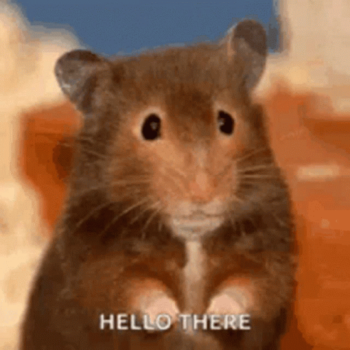 Hi There Cute Little Mouse Waving GIF