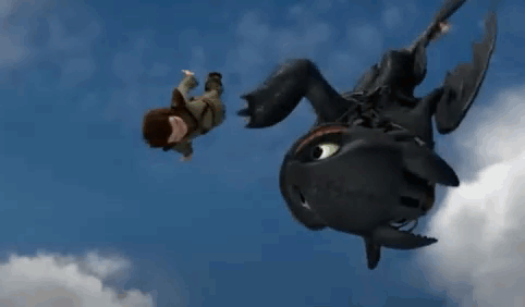 Hiccup and Toothless Flying Through Air