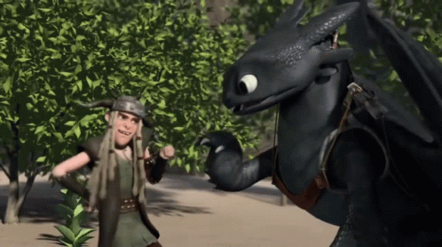 Hiccup Fist Bump Toothless Meme GIF