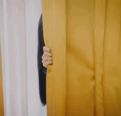 Hide And Seek Lisa Ray Korean GIF