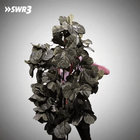 Hide And Seek Plant Camouflage GIF