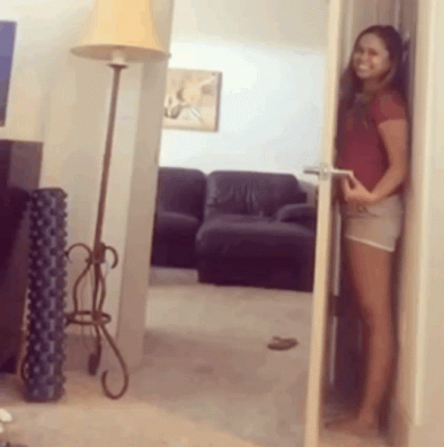 Hide And Seek Silly Dog Looking GIF