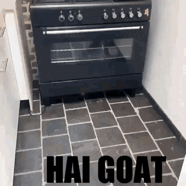 Hiding Baby Goat Kid GIF