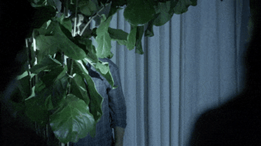Hiding Behind The Plants GIF