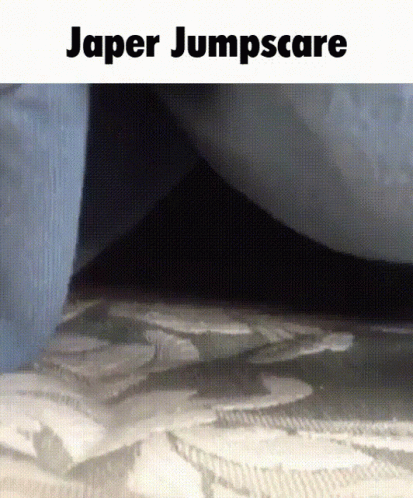 Hiding Cat Spider Jumpscare GIF