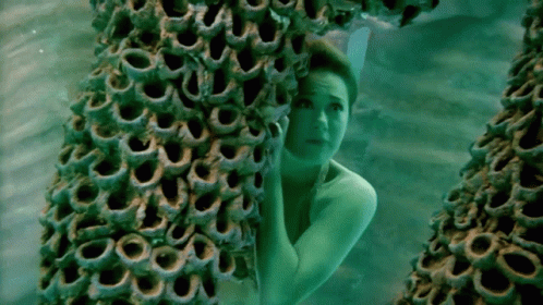 Hiding Mermaid Scared To Siren Head GIF