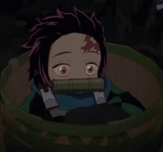 Hiding Nezuko Vs Daki  Demon Slayer GIF
