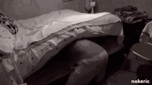 Hiding Unsuccessful In Bed GIF