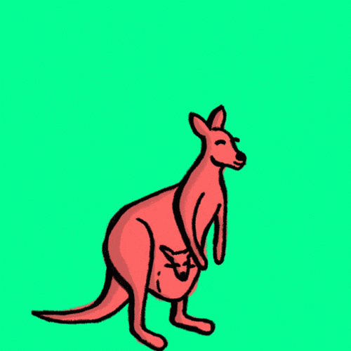 High Animated Kangaroo Jump GIF 