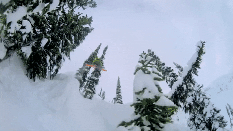 High Jump Ski Freestyle GIF
