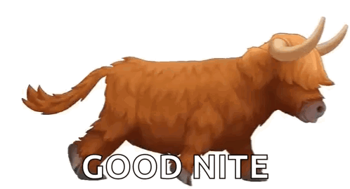 Highland Cow Running Saying Good Nite