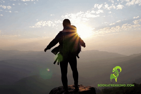 Hiking Man Celebrating In Mountain Peak GIF