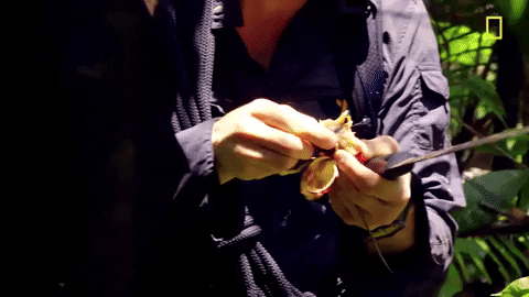 Hiking Zachary Quinto Eating Wild Foods GIF