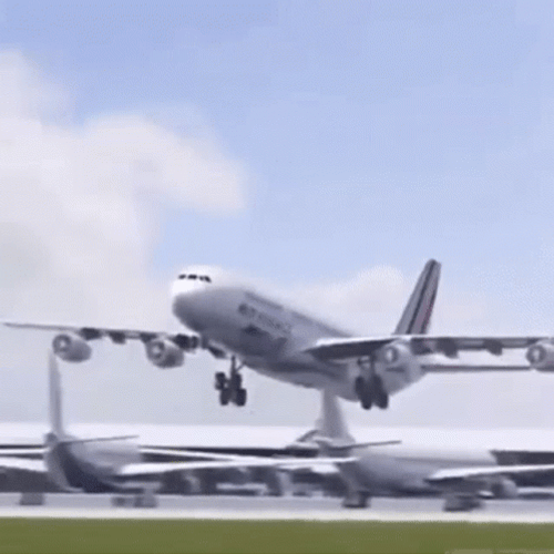 Hilarious Airplane Flying Flapping Wings GIF