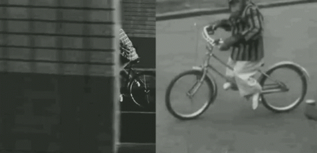 Hilarious Bike Riding Monkey Classic Footage GIF