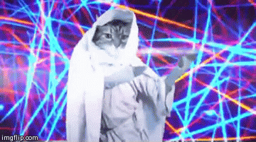 Hilarious Birthday Cat Sway Dance GIF