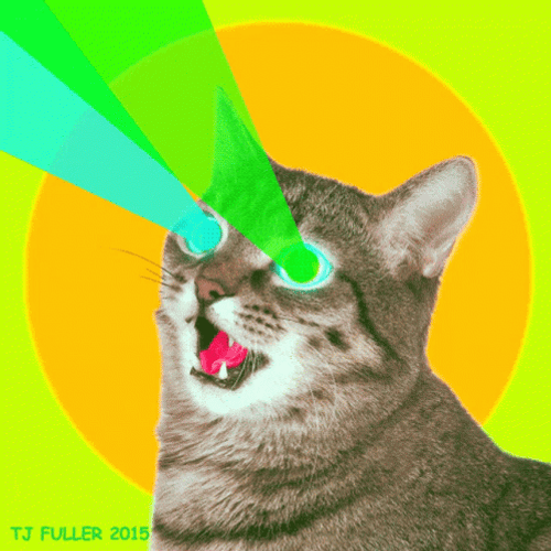 Hilarious Cat Laser Beam Powers GIF