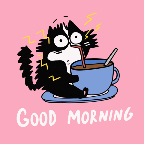 Hilarious Good Morning Electrocuted Cat GIF