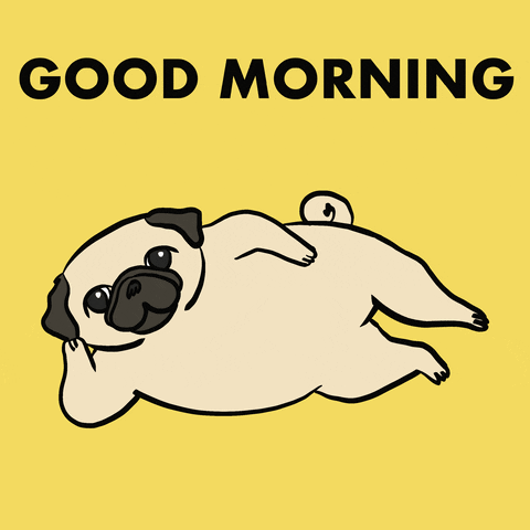 Hilarious Good Morning Flexing Pug GIF