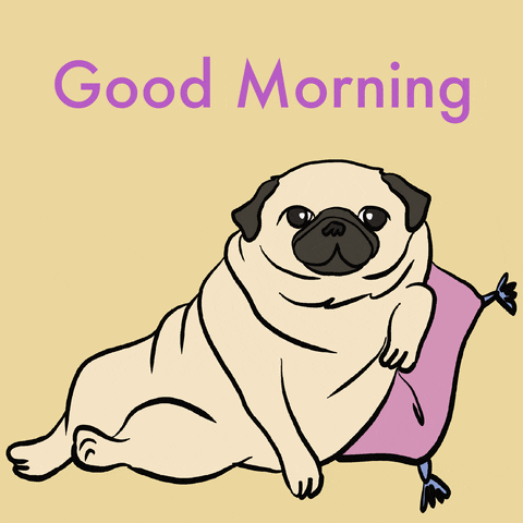Hilarious Good Morning Winking Pug GIF