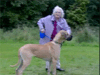 Hilarious Granny Dragged By Dog Fail GIF