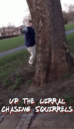 Hilarious Man Chasing Squirrel GIF