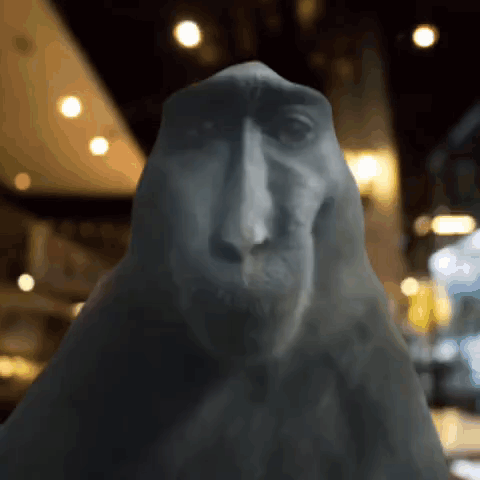 Hilarious Monkey Smiling Goofy Meme GIF