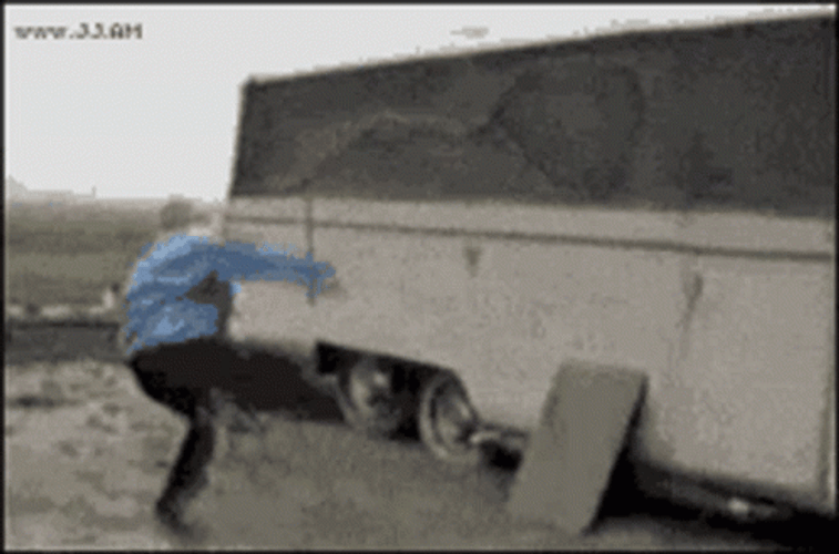 Hilarious Rooster Chasing Boy GIF