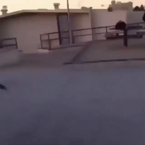Hilarious Tumbling Fail Faceplant GIF