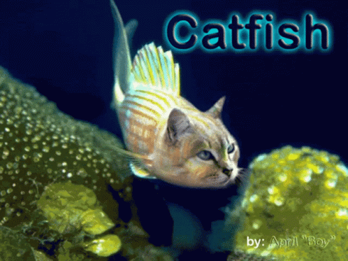 Hilarious Underwater Catfish GIF