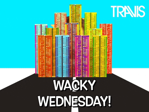 Hilarious Wacky Wednesday GIF