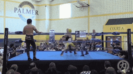 Hilarious Wrestling Match GIF