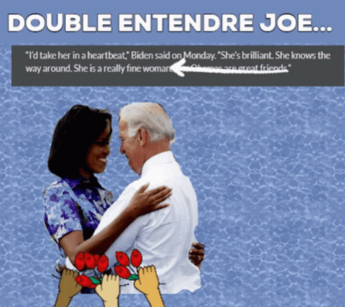 Hillary Clinton Double Hear Joe GIF