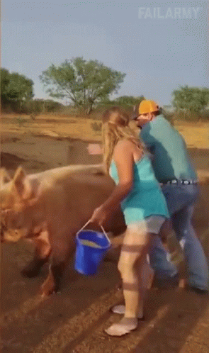 Funny Hillbilly Riding Pig Mishap GIF