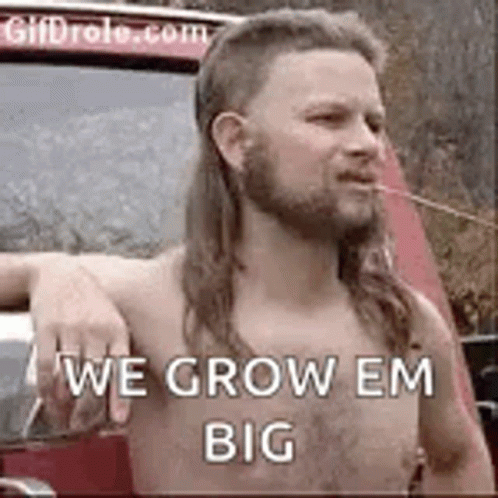 Hillbilly 498 X 498 Gif GIF