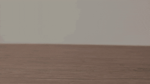 Hippo Poop Coffee Makes Me Poop GIF